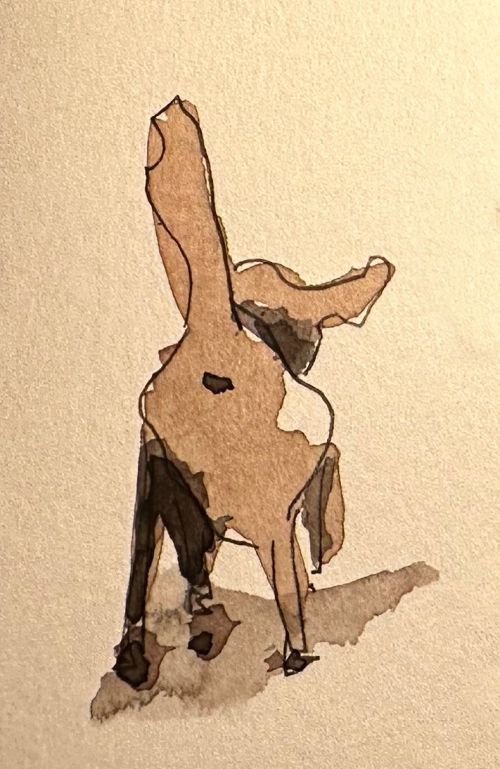 Hundekot
